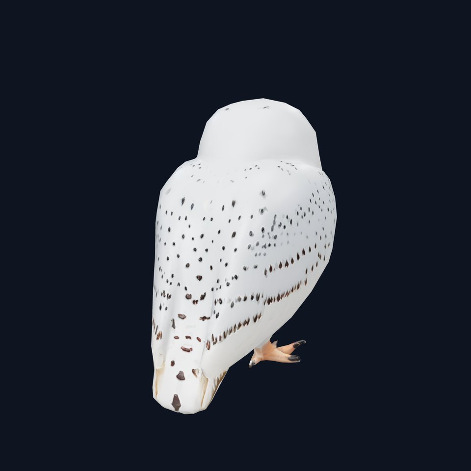 Majestic Snowy Owl model pack